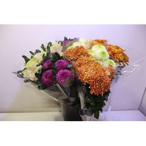 Chr G Gem In Fust 70cm 80gram 23