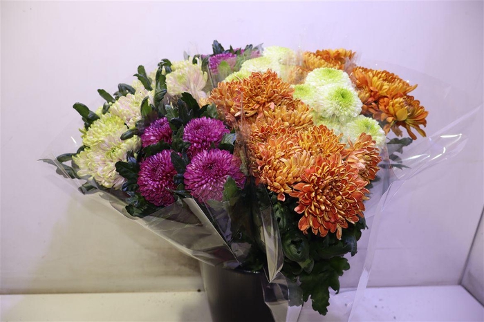 <h4>Chr G Gem In Fust 70cm 80gram 23</h4>