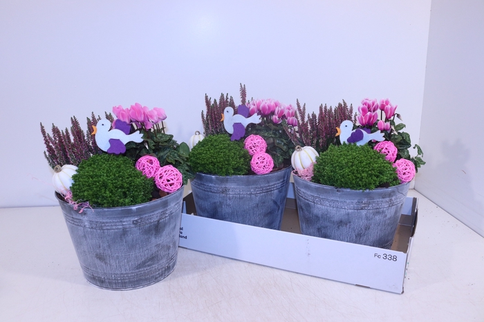 <h4>ARR TUINPLANTEN</h4>
