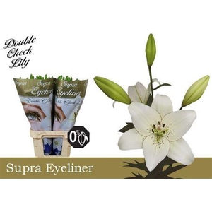 Li La Eyeliner