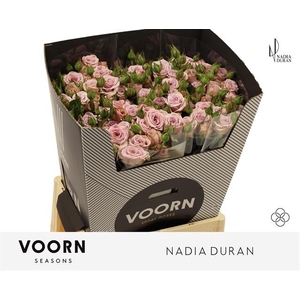 R Tr Nadia Duran Voorn Seasons