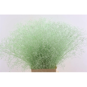 Talin Klbh Mint Groen