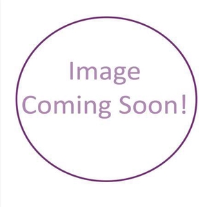 Helianthus Sunrich Orange -in box