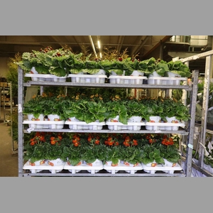 Calc Cal Mixk 3 Kleuren