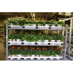 Calc Cal Mixk 3 Kleuren