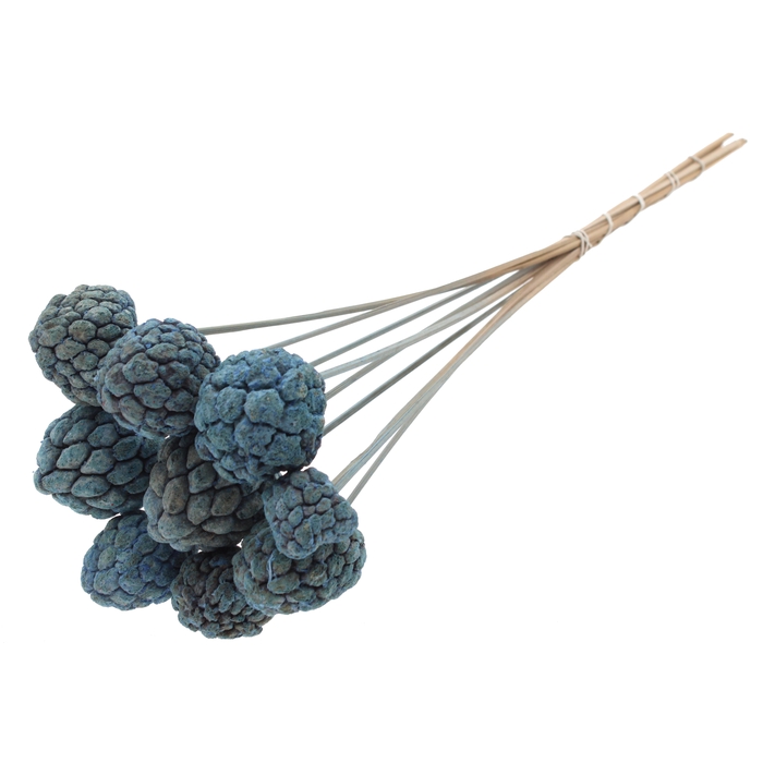 <h4>Atta Fruit on stem Intense Frosted Light Blue</h4>