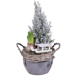 Christmas Arr. Outdoor Willow Basket Ceramic Bottom Ø14cm 2PP