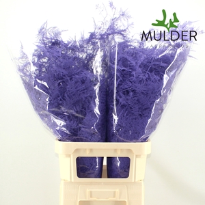 Asp Klb H% L. Getopt Milka