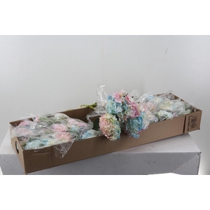 Hydr Ensuenio Sel Box