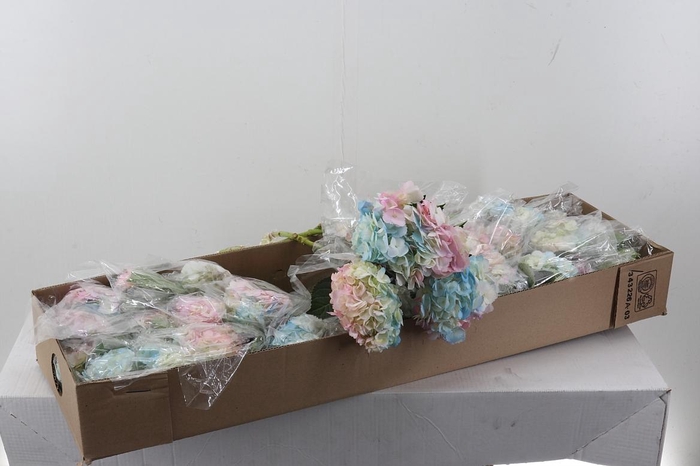 <h4>Hydr Ensuenio Sel Box</h4>