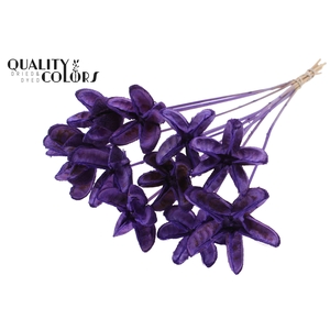 Rambutan without needles Milka