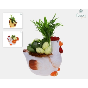 Pasen kippen met arrangement