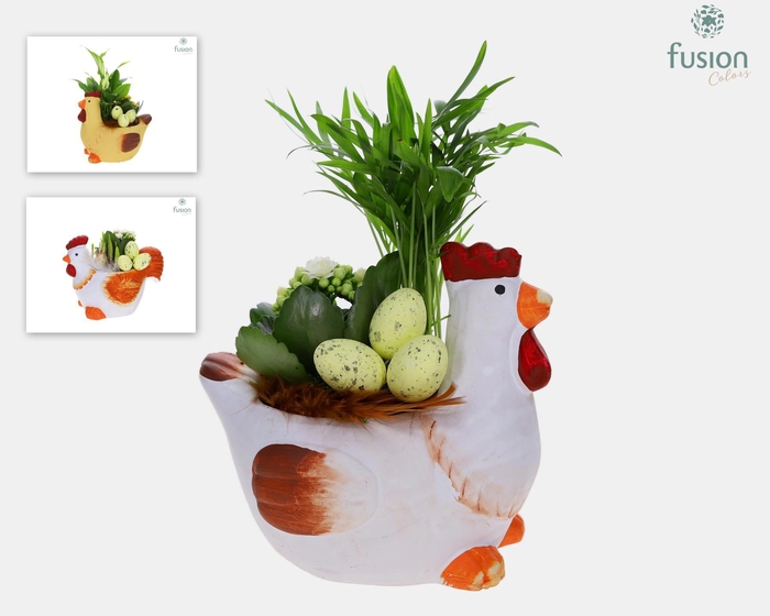 <h4>Pasen kippen met arrangement</h4>