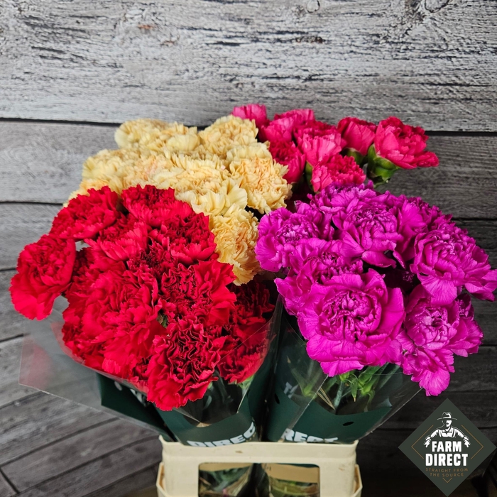 <h4>DI ST GEMENGD IN FUST</h4>