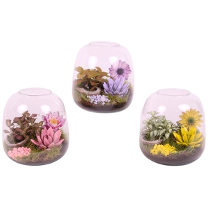 Opm Summer Arr. Indoor Glass Vase Terrarium Round