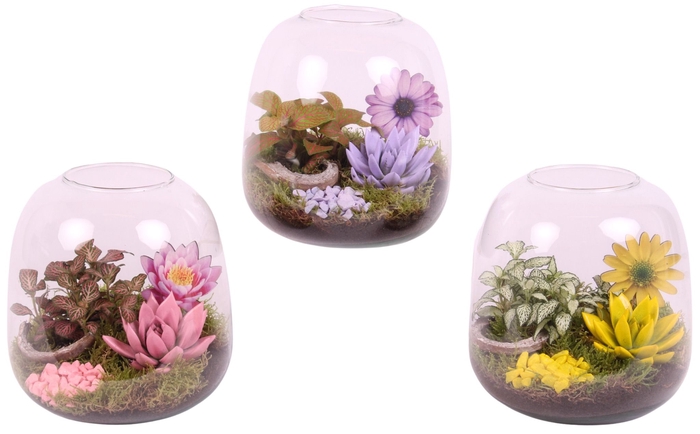 <h4>Opm Summer Arr. Indoor Glass Vase Terrarium Round</h4>