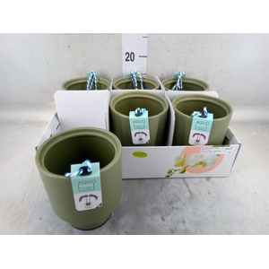 Pot   ...Keramische H%