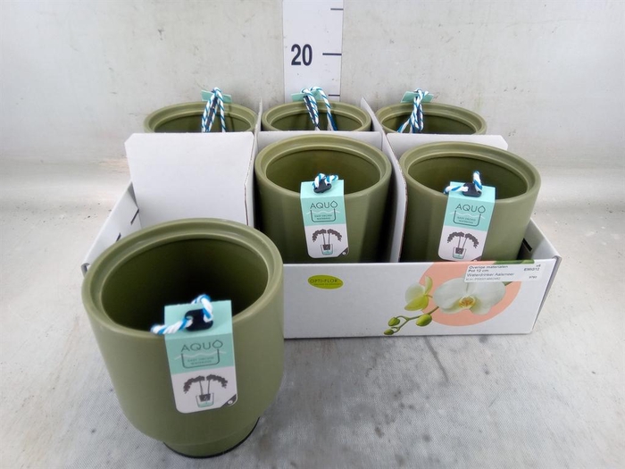 <h4>Pot   ...Keramische H%</h4>