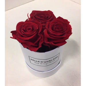 Flowerbox rd 10cm stabi. rood