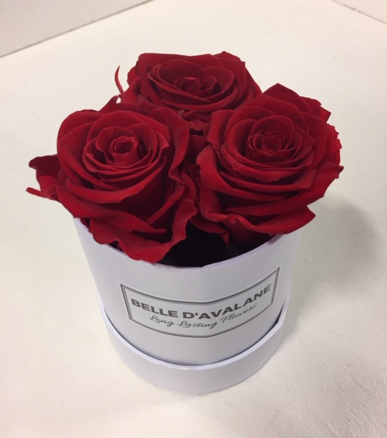 Flowerbox rd 10cm stabi. rood