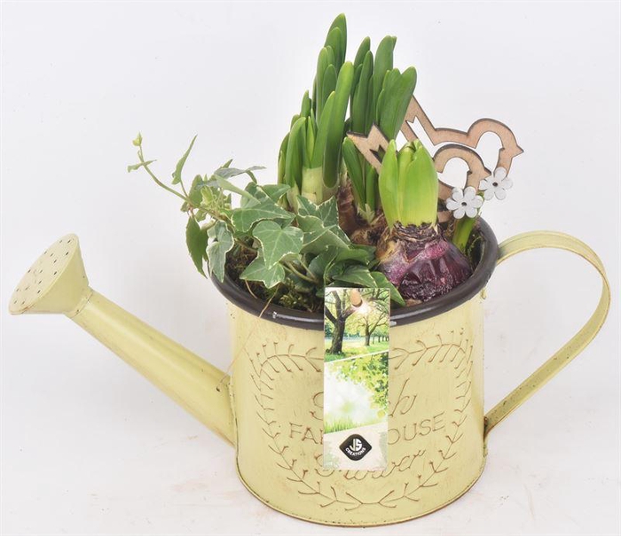 <h4>Zink gieter 14cm</h4>