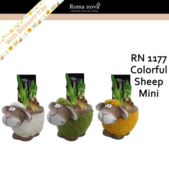 <h4>1177 - Colorful Sheep mini (Tete a Tete)</h4>