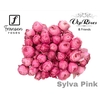 R TR SILVA PINK+ Vip