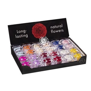 Display Jewel Assorted