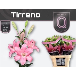 Li La Tirreno