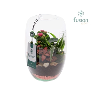 Green Bottle Isabella Small Love met arrangement