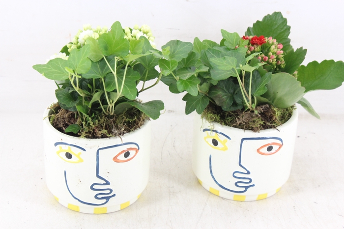 <h4>arr2 JS - Ker. pot face colour - rood/wit</h4>
