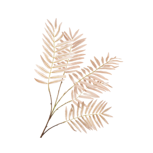 Chico Palm Brown