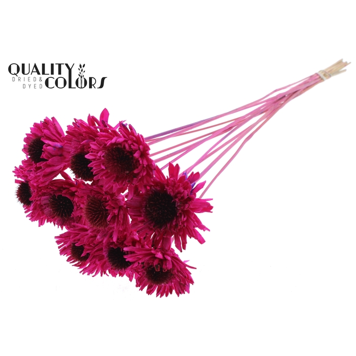 <h4>Shola Daisy Sunflower 6cm on stem Lilac</h4>