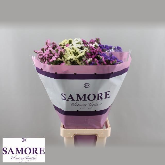 <h4>LIMONIUM SINUATUM   ...MIX</h4>