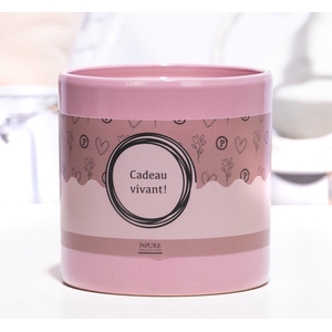 P&P ceramics pink met CADEAU VIVANT! cadeau wikkel
