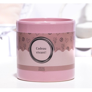 P&P ceramics pink met CADEAU VIVANT! cadeau wikkel