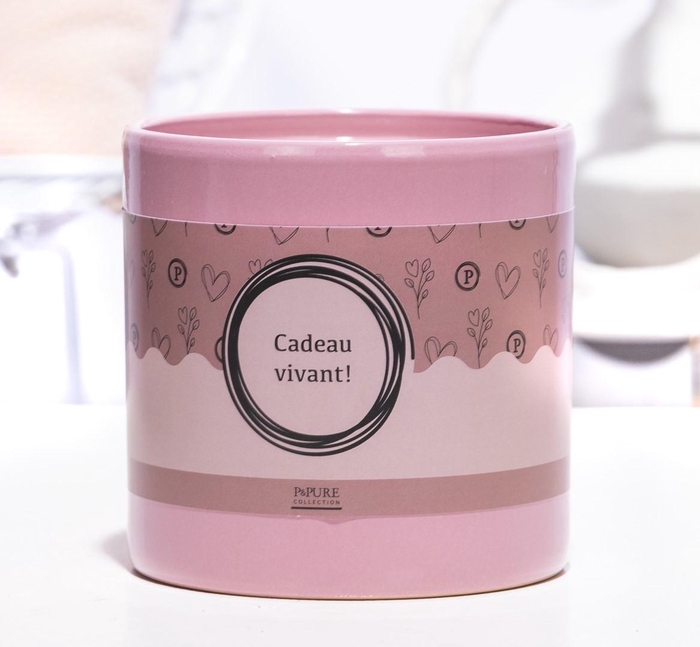 <h4>P&P ceramics pink met CADEAU VIVANT! cadeau wikkel</h4>