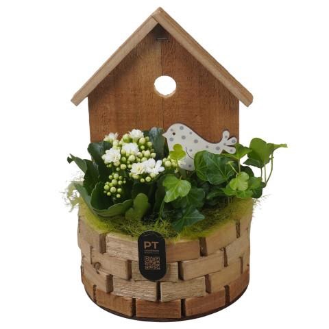 <h4>PTIB5262 Arrangement Indoor in houten vogelhuis</h4>