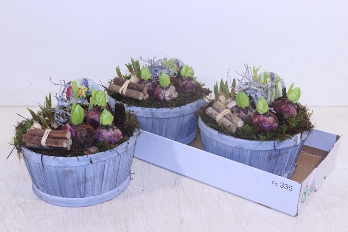 <h4>ARR BOL KNOLGEWAS</h4>