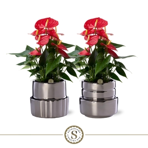 Oslo Silver Keramiek 12cm Red