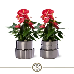 Oslo Silver Keramiek 12cm Red