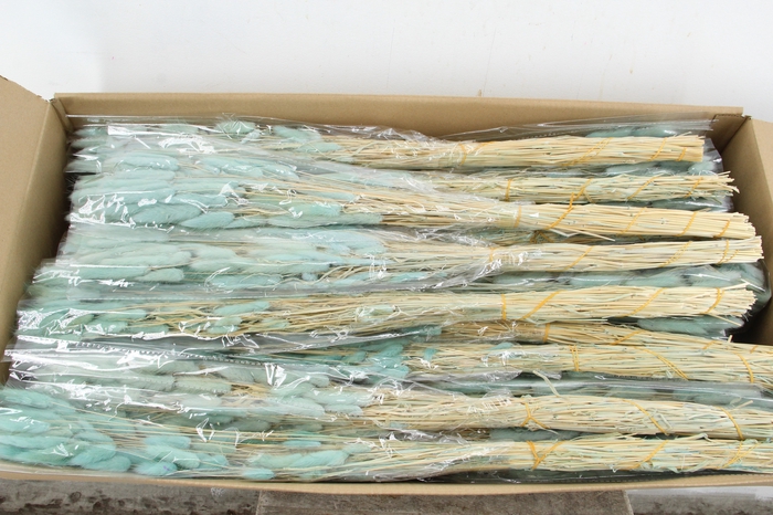 <h4>DF Lagurus Bs 50g/70cm L.Blue</h4>