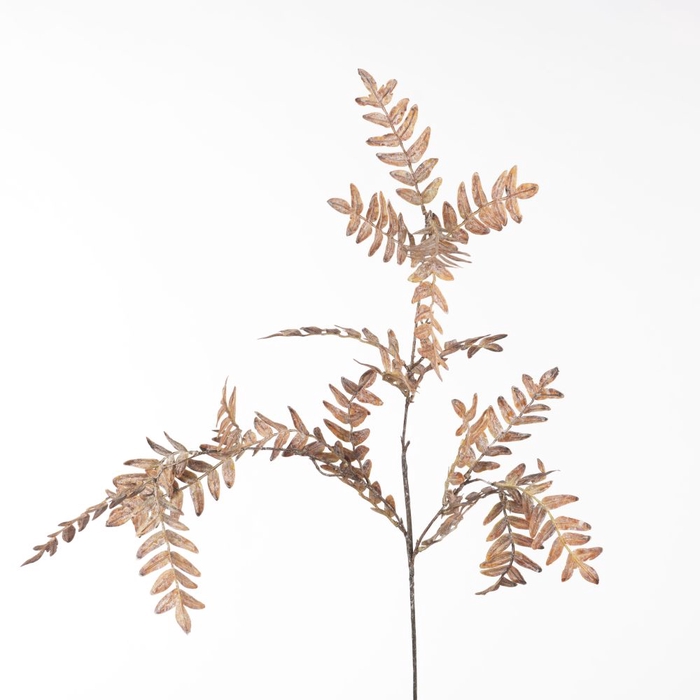 Af Fern Spray L101cm Brown