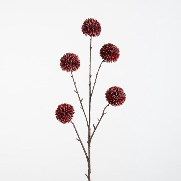 <h4>AF Pompom XL x5 L100cm or/pi</h4>
