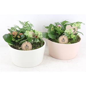 Arr2 Pl - Ker. Pastel Pot L X2 - Roze/rood