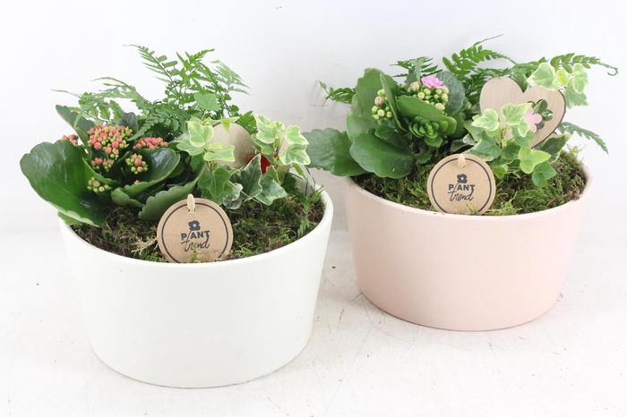 Arr2 Pl - Ker. Pastel Pot L X2 - Roze/rood