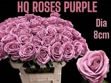 <h4>Huis En Tuin Rose Silk Lavendel</h4>