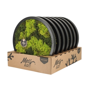 90779: Moss Art Round D38