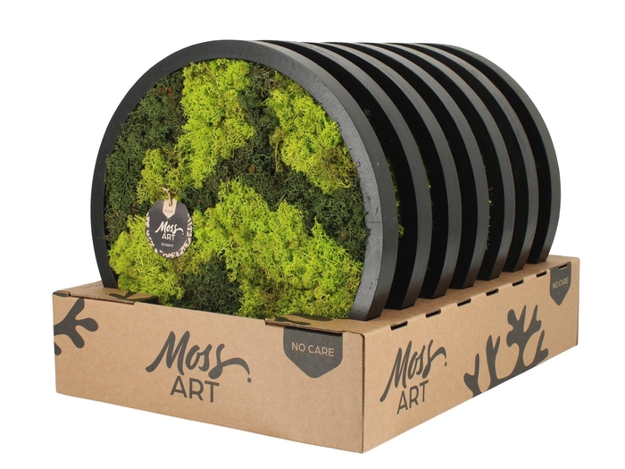 <h4>90779: Moss Art arrangement D38</h4>