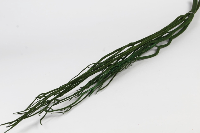 <h4>Mitsumata Flock D.Green Bs(3)</h4>